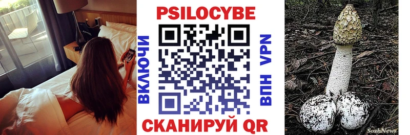 Купить где  Будённовск  Галлюциногенные грибы Cubensis 